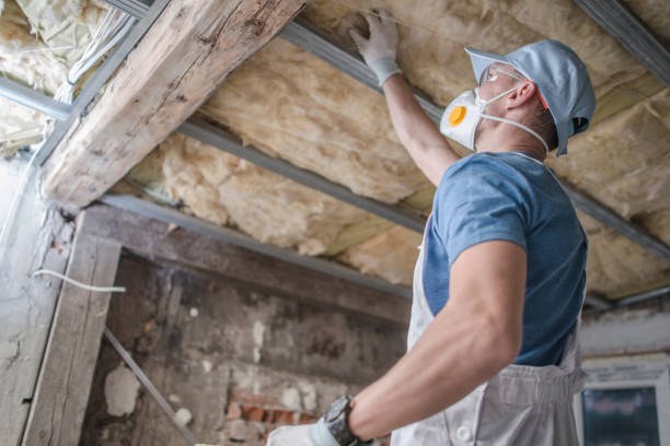 Insulation Replacement Services in Okawville, IL