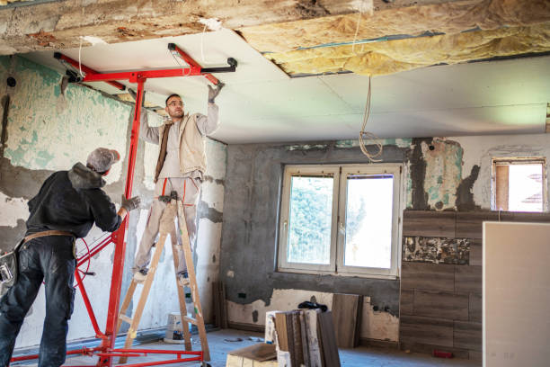 Best Cellulose Insulation  in Okawvle, IL