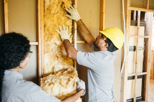 Best Insulation Replacement Services  in Okawvle, IL